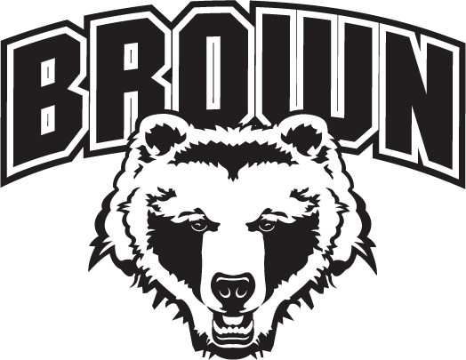Brown Bears 1997-Pres Alternate Logo DIY iron on transfer (heat transfer)